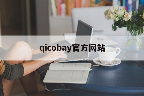 qicobay官方网站_271bay集团官网