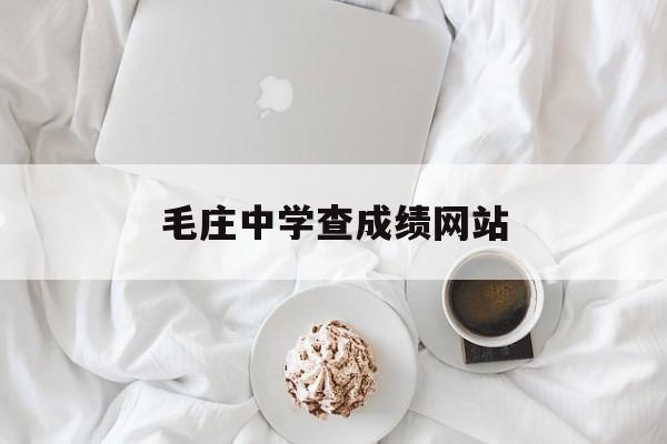 毛庄中学查成绩网站_毛庄初中的所有老师